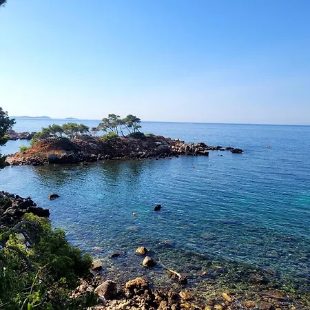 Bandolsud T2 Terrasse Proche Mer 公寓